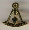 Council Pin