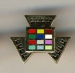 Chapter Pin